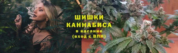 метадон Кодинск