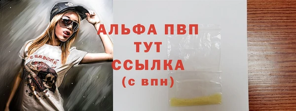 стафф Корсаков