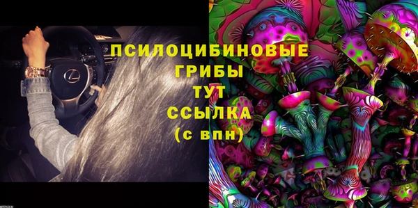 метадон Кодинск