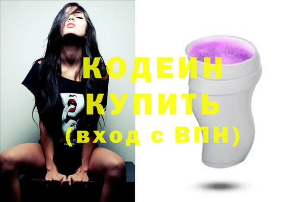 стафф Корсаков