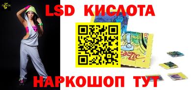 крисы Абакан