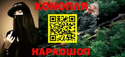 крисы Абакан