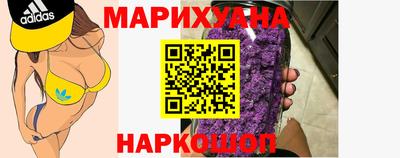 крисы Абакан
