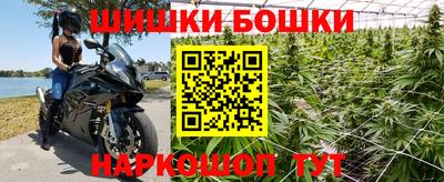 крисы Абакан