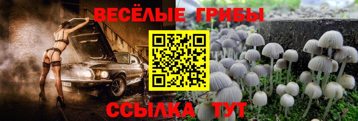 Кисловодск  Псилоцибиновые грибы Magic Shrooms  Вход с VPN 