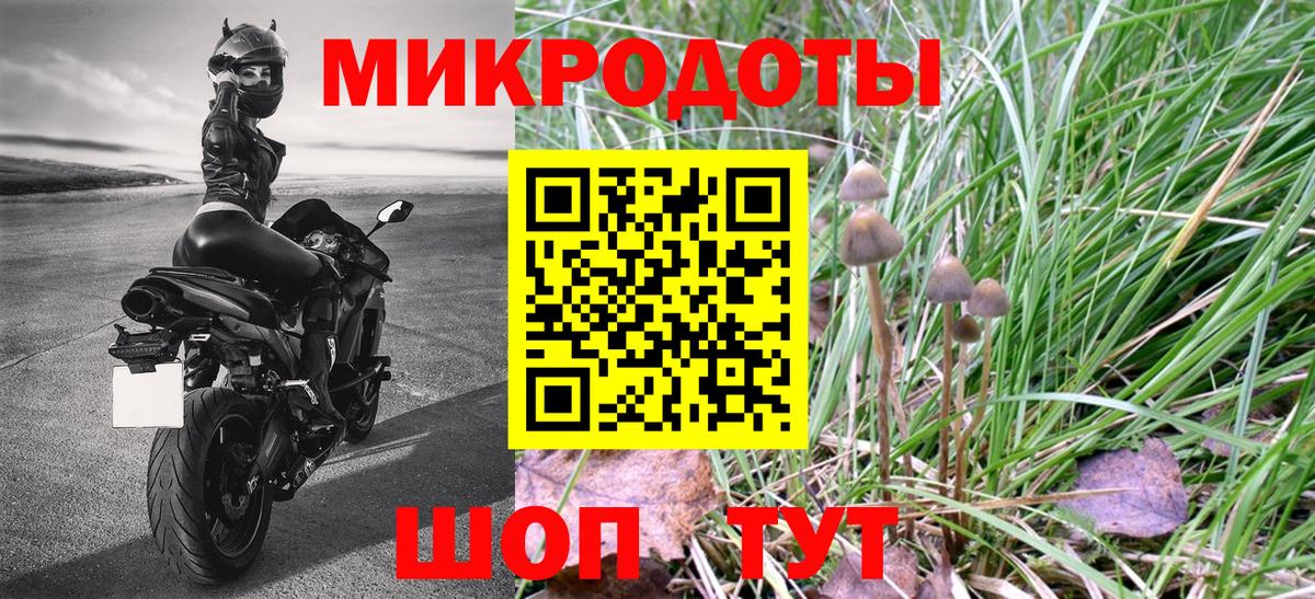 Кисловодск  Галлюциногенные грибы Psilocybine cubensis  Вход с VPN 