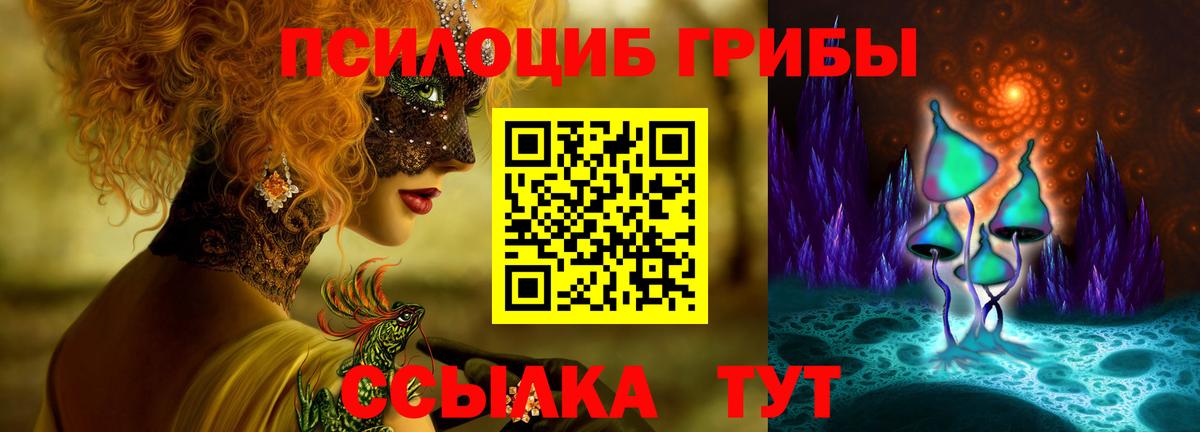 Псилоцибиновые грибы Cubensis Кисловодск