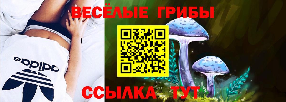 Галлюциногенные грибы Cubensis Кисловодск